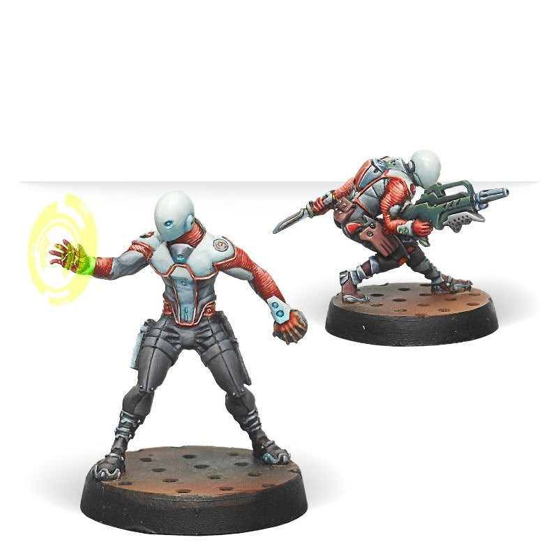 インフィニティ - ゼロス (コンビ ライフル/ハッカー) ノマド