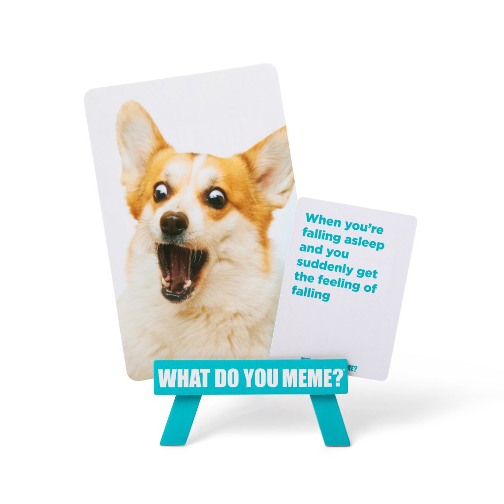 What Do You Meme? Family Edition