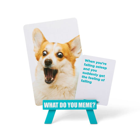 What Do You Meme? Family Edition
